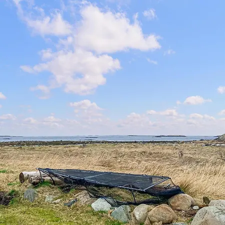 Pet Friendly In Haroy *