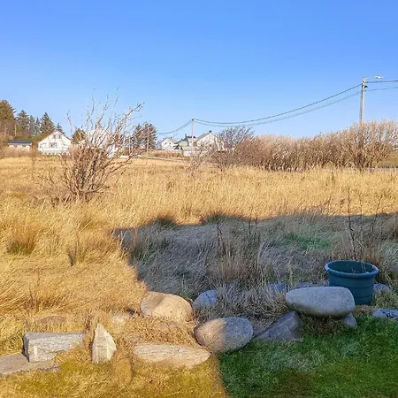 Apartament Pet Friendly In Haroy *