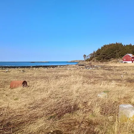 Apartment Pet Friendly In Haroy