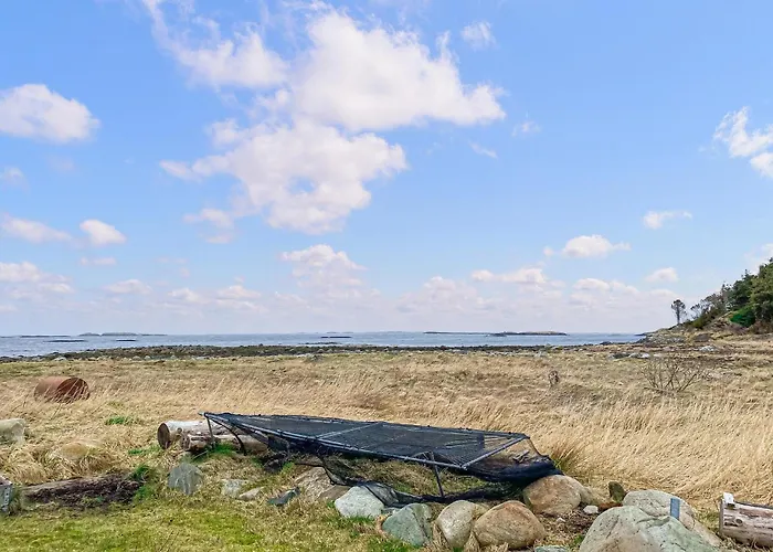 Pet Friendly In Haroy *